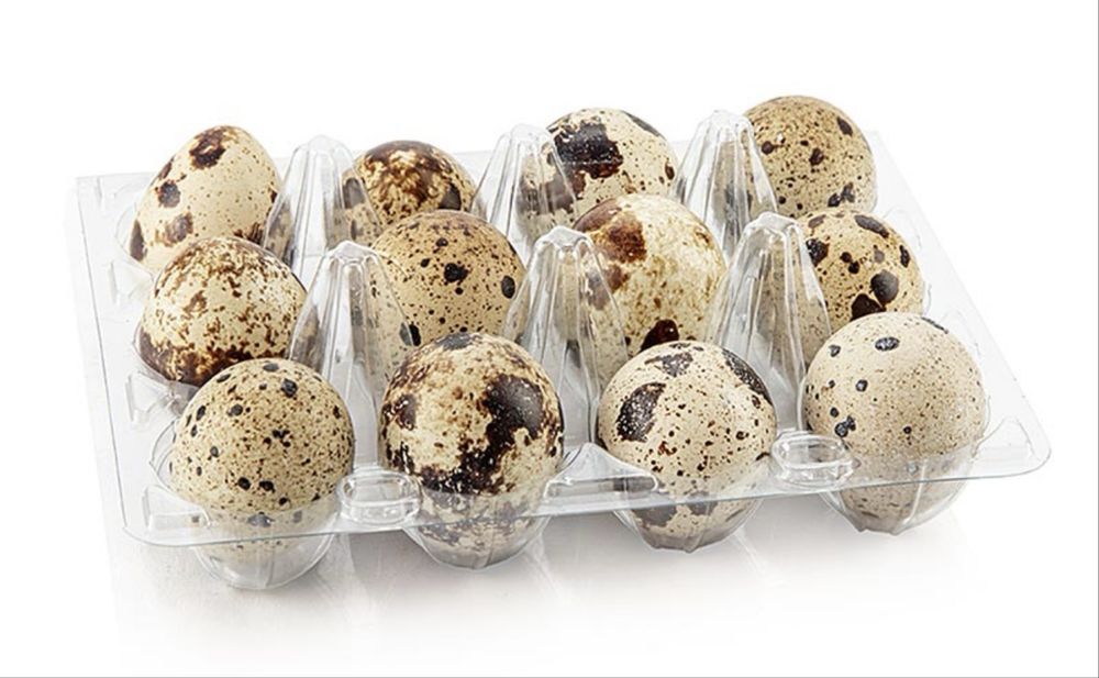 Ovos de Codorniz