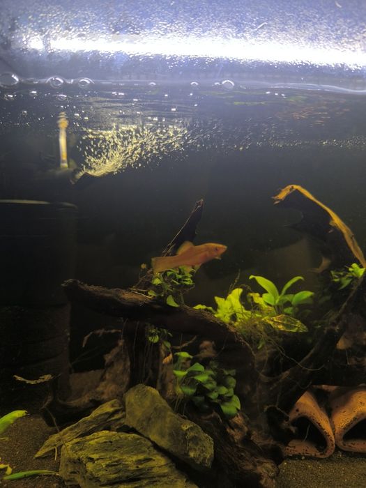 Akwarium 112l Aquael +akcesoria
