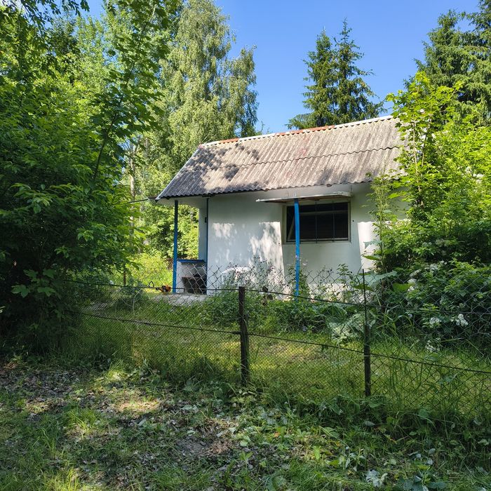 Działka ROD Hortensja