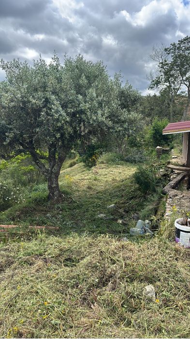 Limpeza de terrenos/quintais