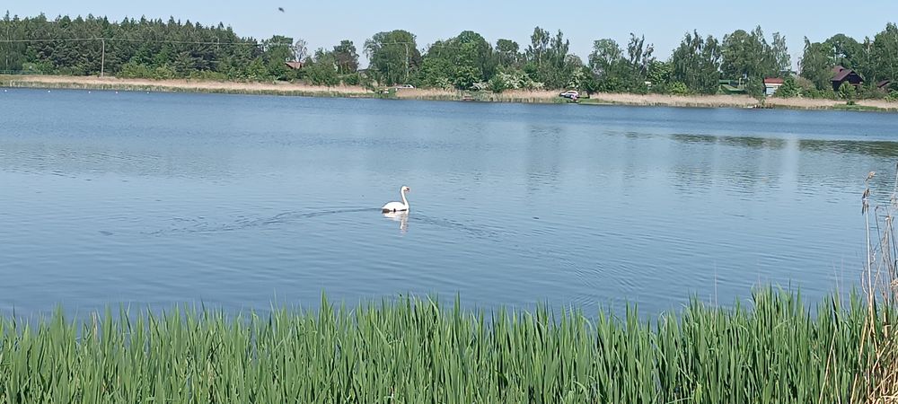 Domek nad zalewem do wynajęcia
