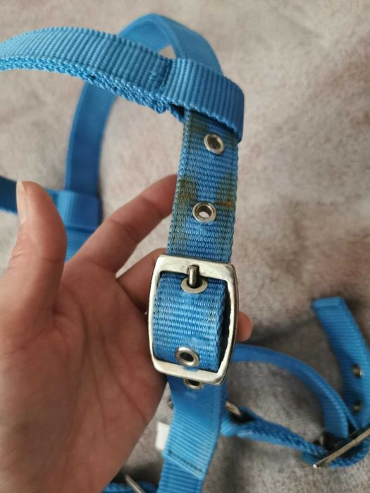 Kawecan dla kucyka, Waldhausen, Pony