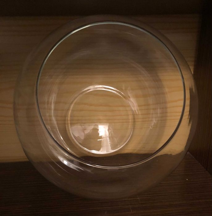 szklana kula akwarium kotnik