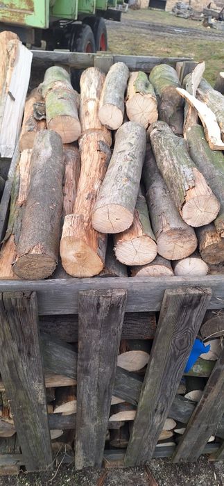 Drewno...drewno na ognisko.