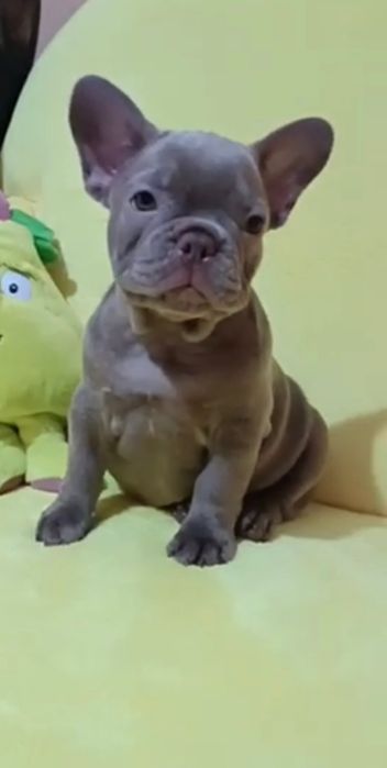 Подарунок на все життя