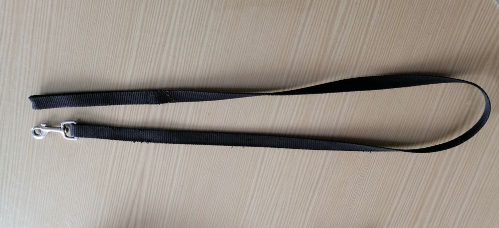 trela e coleira para cão de pequeno a médio porte