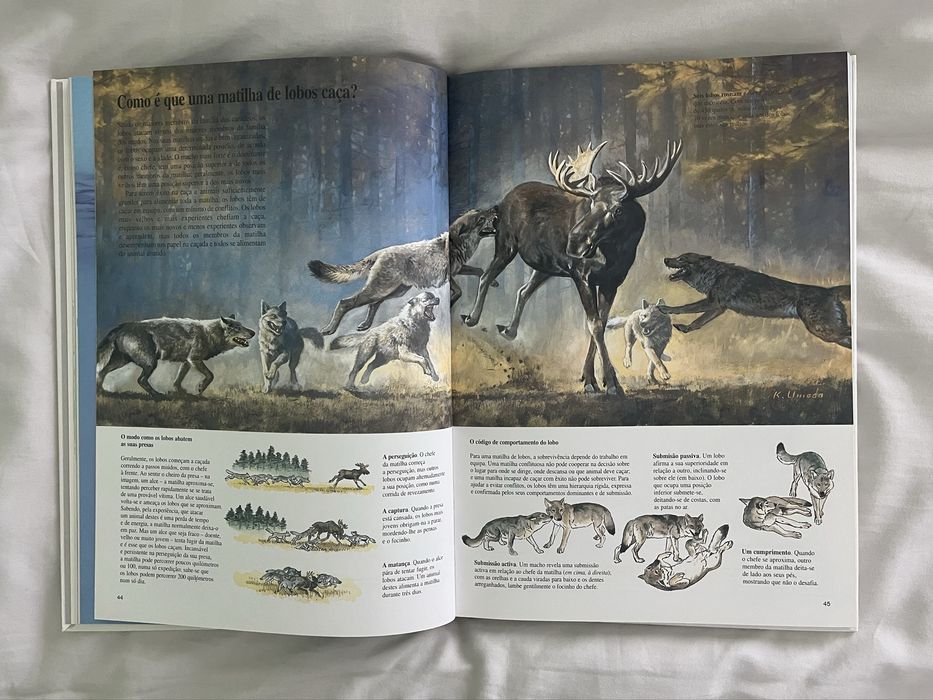 "O Comportamento dos Animais - Enciclopédia" da Time Life