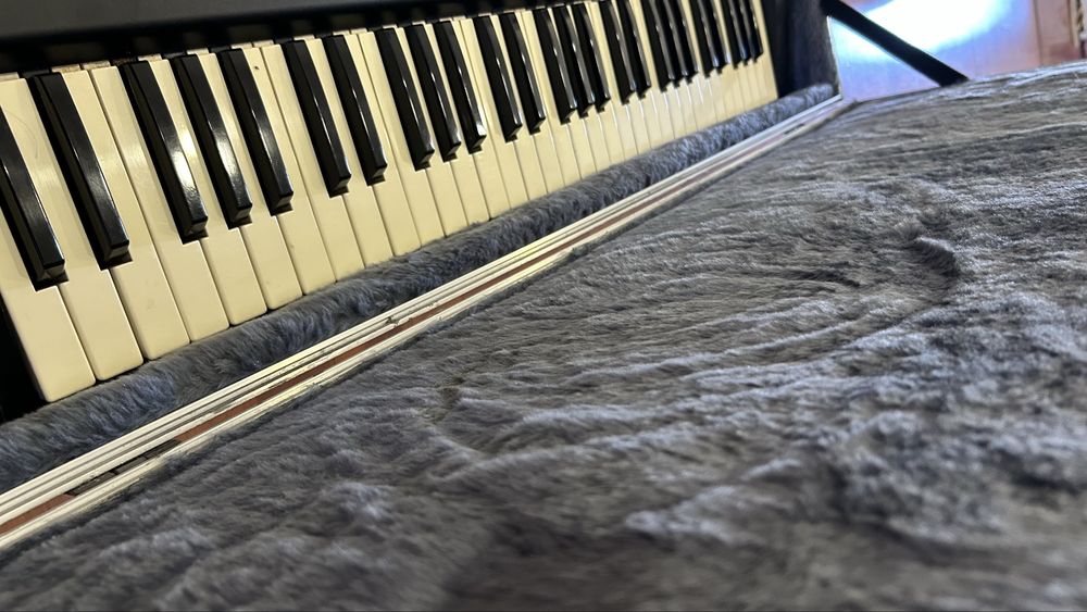 Roland XP50 com Case Rígido (Hard Case)