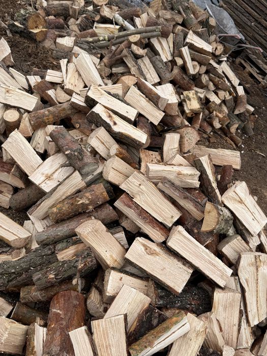 Дрова тверді та мякі породи рубані та колодах