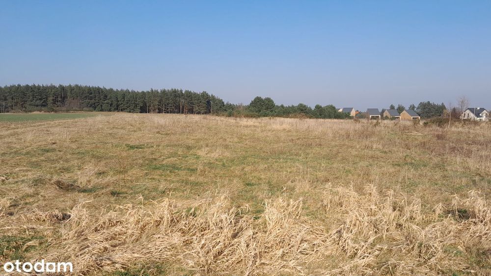 Działka budowlana Sasino, MPZP, ul. Stara Cegielnia / Na Wzgórzu - Widok 2
