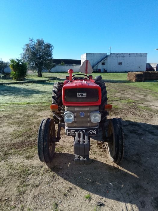 Massey Ferguson 145 vinhateiro