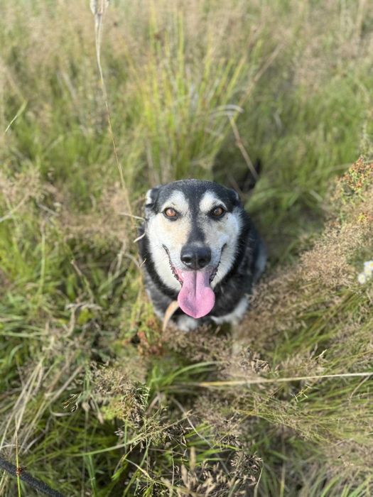 Rudi i Sabinka szukają wspólnego domu