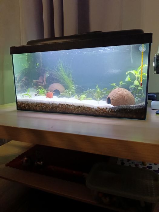Akwarium 54litrow bogaty zestaw