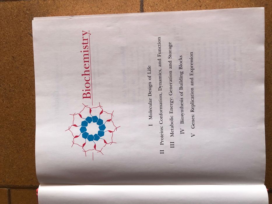 Biochemistry Lubert Stryer język angielski King Edward VI Schol