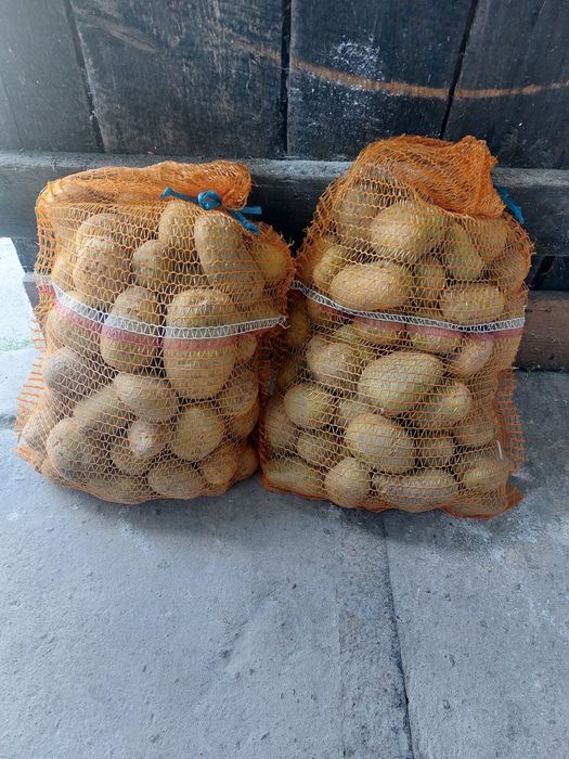 Ziemniaki Denar i queen anna 1zł/kg. Dostępne tez sadzeniaki