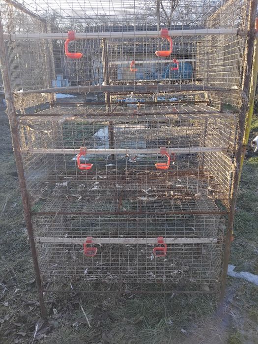 Клітка для курей