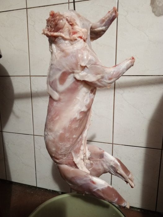 М'ясо кролика продам