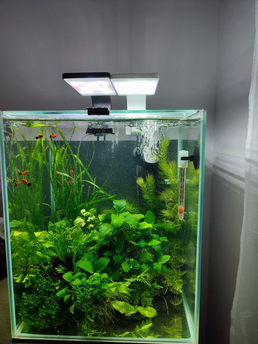 Sprzedam akwarium Aquael 30 L