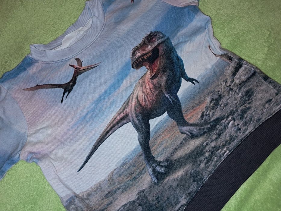 Bluza H&M 110 116 dinozaury t-rex