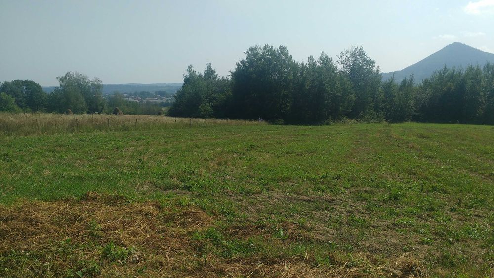 Земельна ділянка