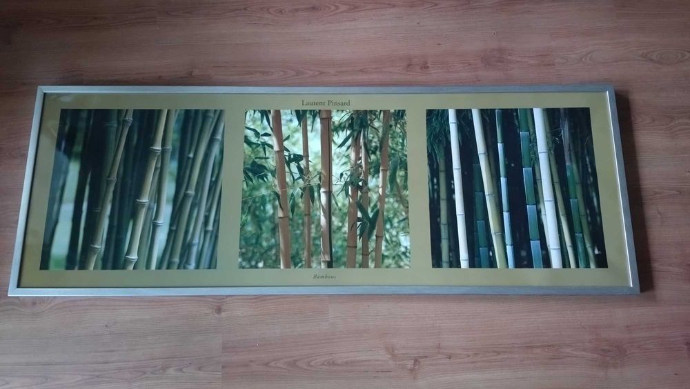 Obraz trzy częściowy bambus poziomy