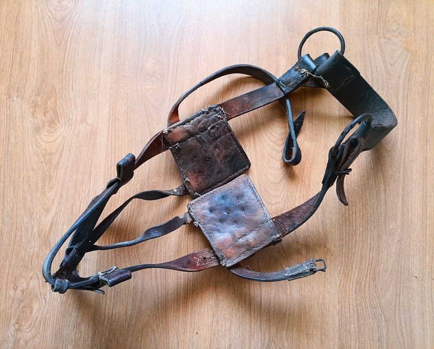 Cabresto couro genuíno século XX decoração equitação