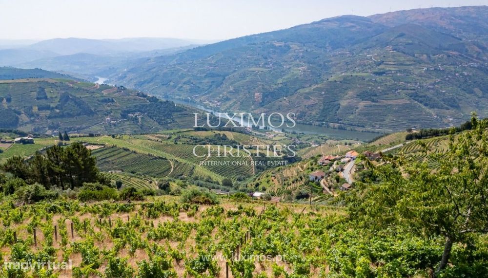 Quinta vinícola para venda em Mesão Frio no Douro Valley