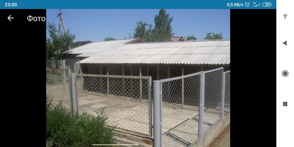 Дрессировка собак с передержкой