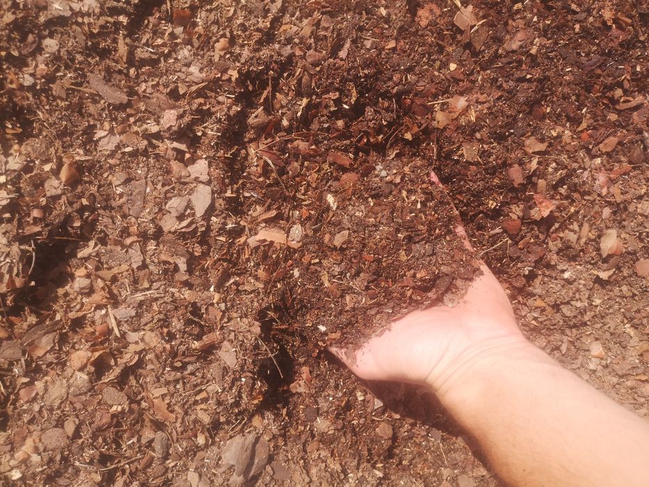 Ziemia kwasna kora mielona