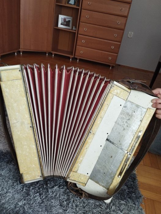 Akordeon pianola 120 basow