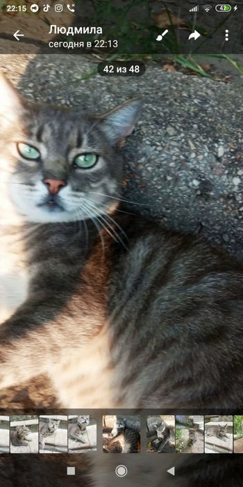 Отдам даром в хорошие руки