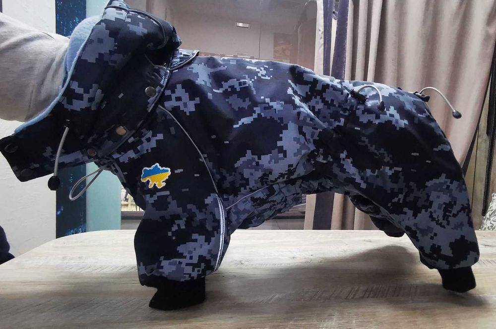 Одяг для тварин. Дощовики, жилети, худі, комбінезони. Інд. пошив