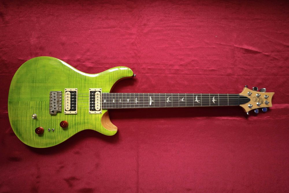 PRS SE Custom 24-8 (Eriza Verde)