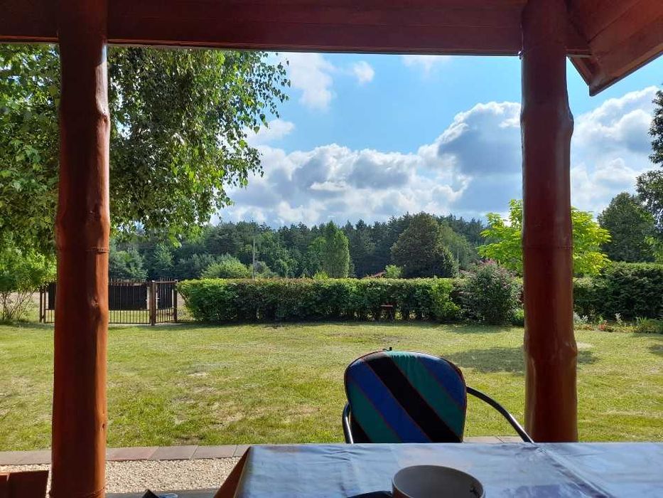 Sprzedam Działkę z Domkiem w Borkowie , Gmina Nasielsk - Widok 3