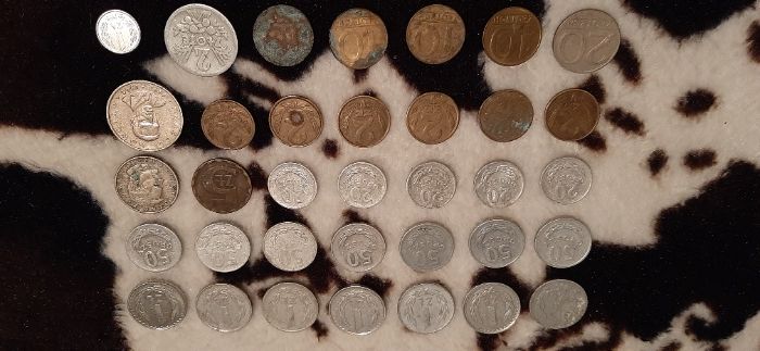 Kilkadziesiąt starych monet