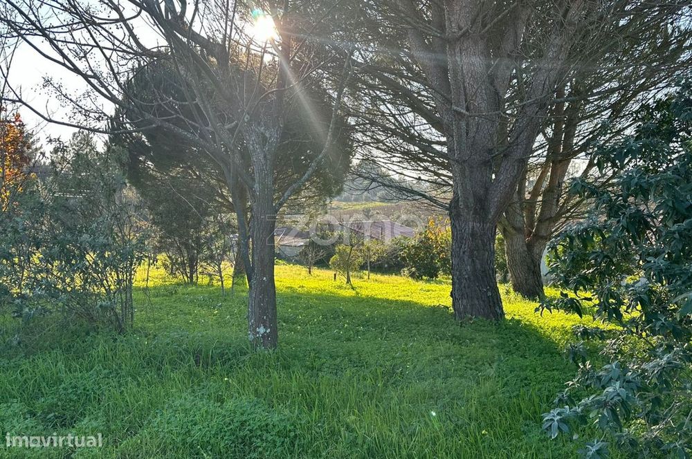 Terreno Urbano em Aguim com 2650m2