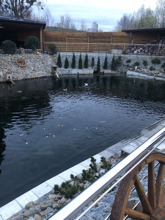 Будинок подобово з басейном, сауною та чан джакузі.