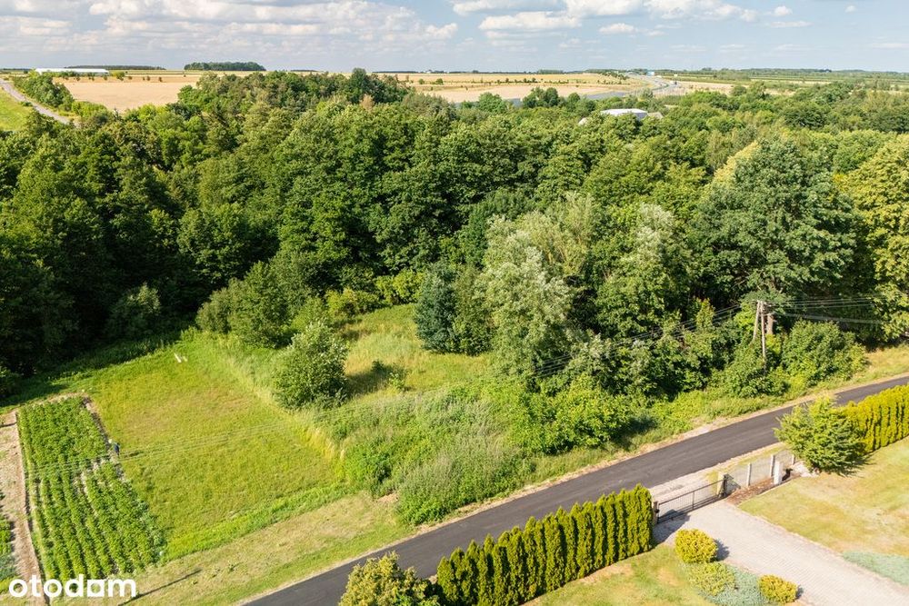 Działka ze stawem poniżej 100 tysięcy - Widok 3