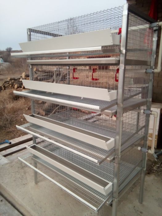 Клвтки для перепелів (Оплата частинаии)