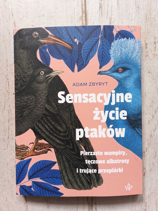 Sensacyjne życie ptaków - Adam Zbyryt