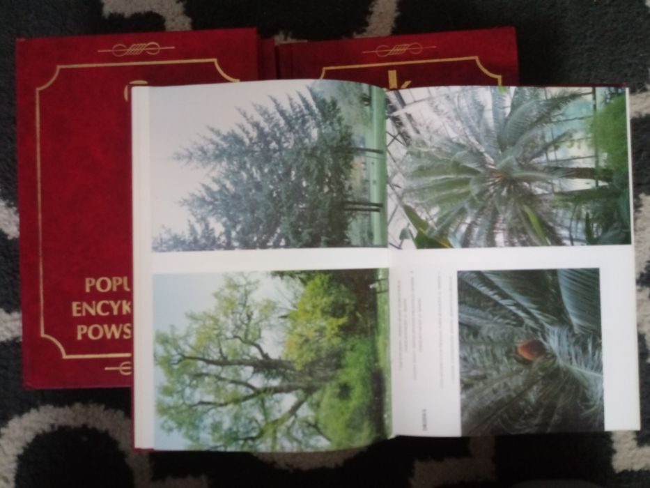 Encyklopedia powszechna.