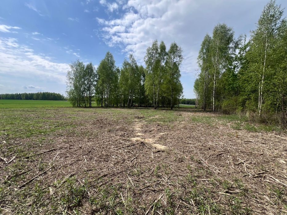 Sprzedam działkę budowlaną 3000m2 Mlęcin gm. Dobre