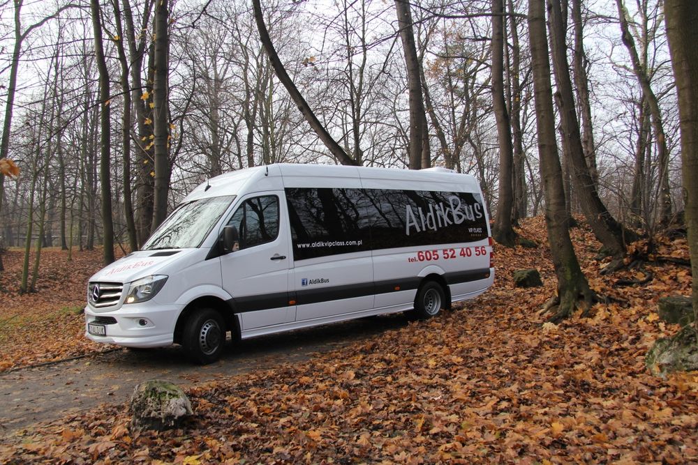 Przewóz osób, wynajem busa, usługi przewozowe, przewozy pracownicze