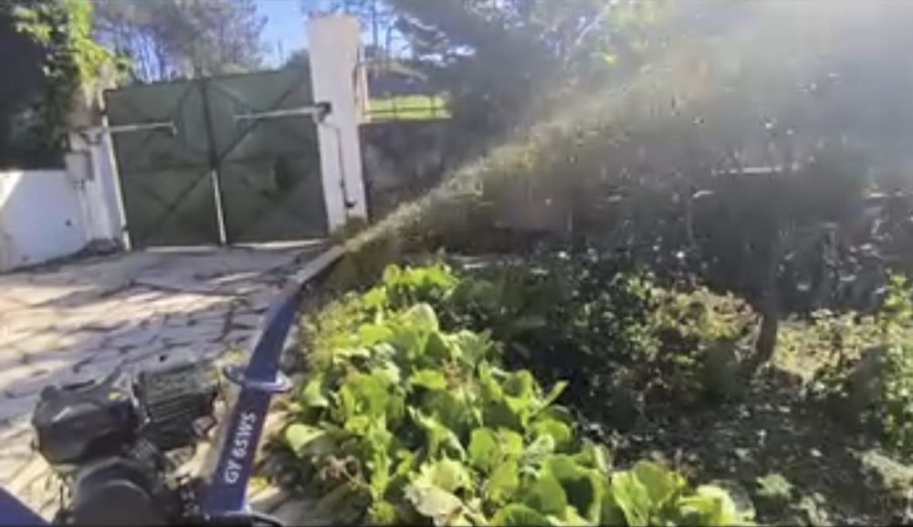 Serviços de triturar ramos /jardins