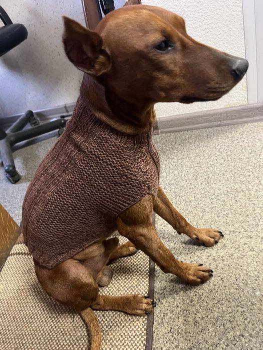 Свитер, жилетка для собаки