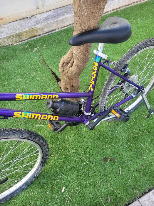 Bicicleta e suporte para tejadilho novos