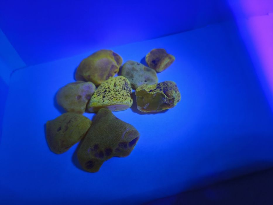 Bursztyn Surowy Bałtycki