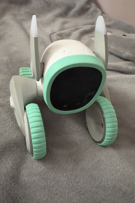 LOONA - interaktywny robot AI - interakcja w języku polskim