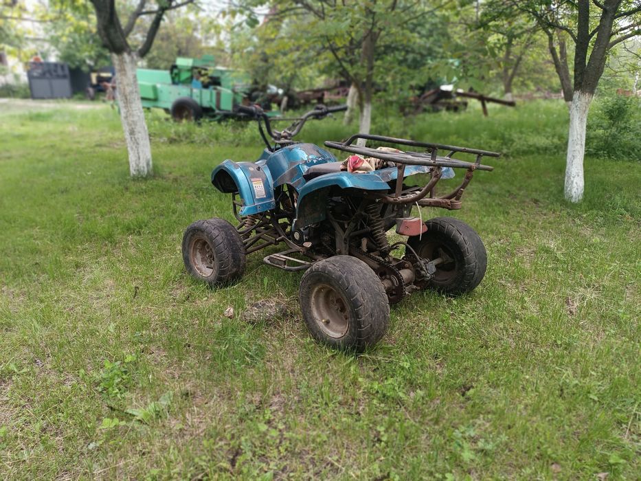 Квадроцикл гризли 125 кубів