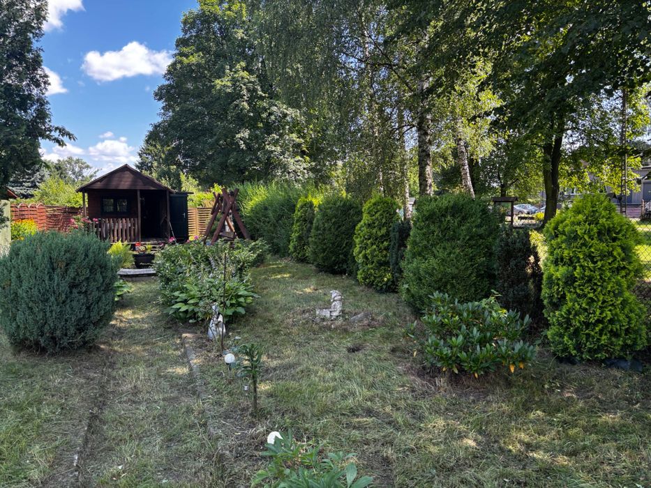 Ogródek dzialkowy